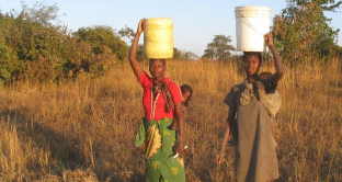 zambia