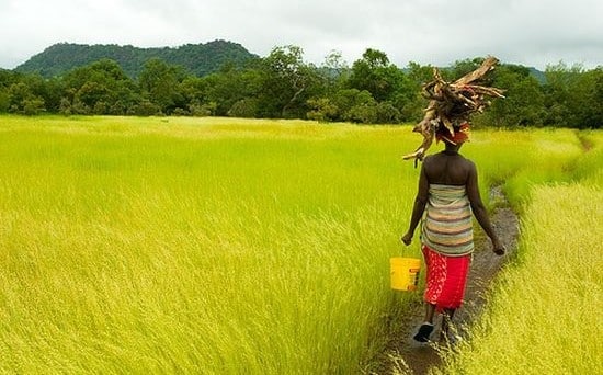 Le obbligazioni africane attirano sempre più investitori. La stabilità politica e la crescita economica favoriscono l’emissione di titoli ad alto rendimento