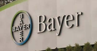 Bayer