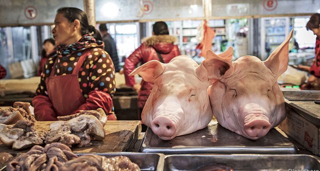 La febbre suina in Cina ha surriscaldato la crescita dei prezzi al consumo e posto fine al rally del mercato obbligazionario. E Pechino reagisce con un altro taglio dei tassi a 12 mesi. 